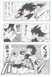 ドラゴンボール H 総集編, 日本語