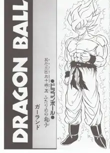 ドラゴンボール H 総集編, 日本語