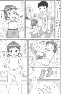 なっちゃんのしゃせいかんり, 日本語