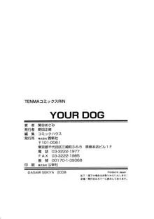 Your Dog, English