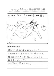 メイドフランドール観察日記, 日本語