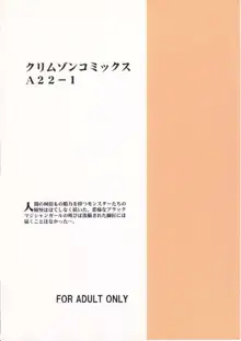 Honrou suru Madoushi, English