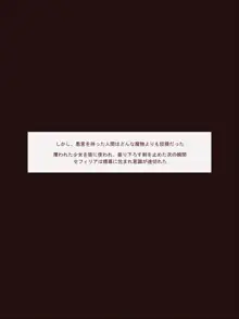 少女騎士敗北2 ～オナホ化～, 日本語