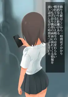 蟲と少女, 日本語