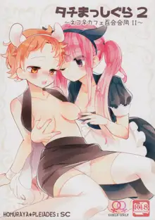 Tachi Masshigura 2 ~Neko Cafe Yuri Goudou II~, 中文