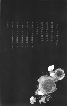 hirasaka lament, 中文