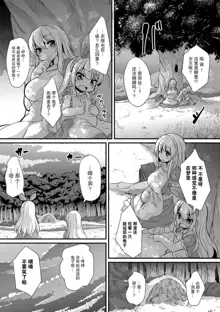 Fushigi no Kuni no Alice | 不可思议之国的爱丽丝, 中文