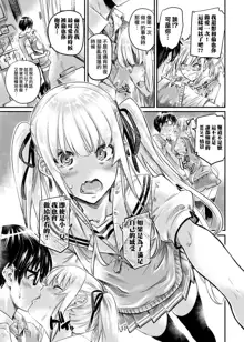 Saenai Heroine Series Vol. 4 Saenai Tsundere Ojou-sama no Sasoikata, 中文