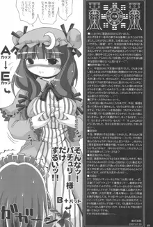 東方遊極絵巻, 日本語