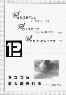 さなづら・ロペスの趣味の同人誌 12, 日本語