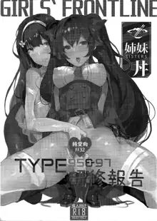 TYPE95&97 Maintenance Report, Español