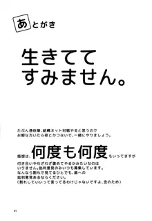 ナズーリンががんばる本, 日本語