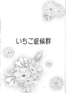 いちご症候群, 日本語