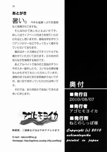 どっちにいれる?, 日本語