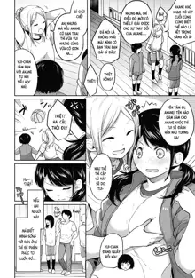 1LDK+JK Ikinari Doukyo? Micchaku!? Hatsu Ecchi!!? Ch. 1-13, Tiếng Việt