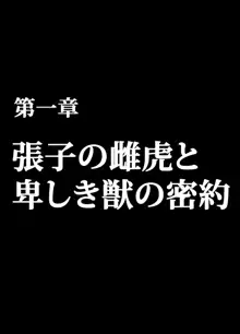 退魔士ミコト総集編, 日本語