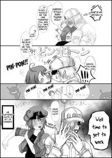 Hataraku Saibou (Nurui) R-18 Manga, English