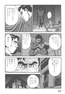 実録レイプ裁判, 日本語