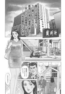 実録レイプ裁判, 日本語