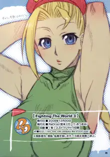 Fighting The World 3, 中文