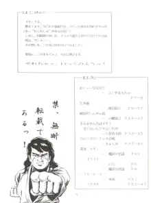 特冊新撰組, 日本語