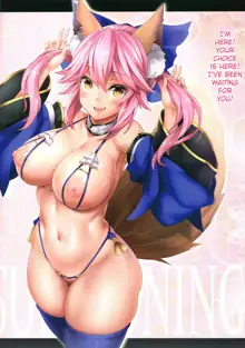 Fate/Lewd Summoning, Português