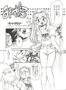 有明国際Xレイテッド漫画祭 マーシーラビットSPECIAL 過ぎ去りし少女たち, 日本語