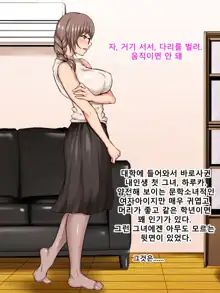 Boku to Kanojo no Abunai Seiheki, 한국어