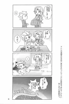 フロマンガ, 日本語