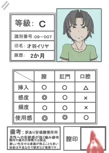 メスブタPVオーディション～私のコト、飼いませんか?～, 日本語