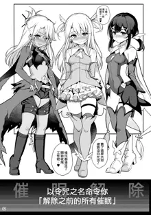 Mahou Shoujo Saimin PakopaCause 3, 中文