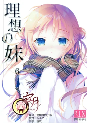 Risou no Imouto 6, 中文