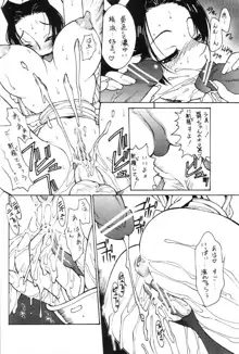 [麗麗酒家 (サトウタカヒロ) 格闘汁娘 vs., 日本語