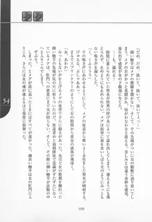 魔法少女アイ2 Game Book, 日本語