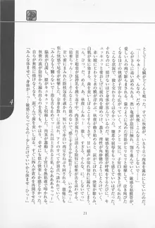 魔法少女アイ2 Game Book, 日本語