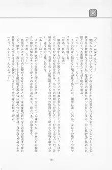 魔法少女アイ2 Game Book, 日本語