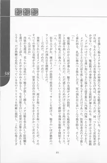 魔法少女アイ2 Game Book, 日本語