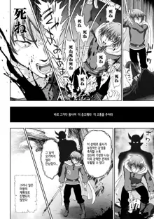 Seijo no Kenshin Ch. 9, 한국어