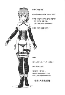 Bishoujo Psychicer Daidasshutsu! | 미소녀 사이키커 대탈출!, 한국어