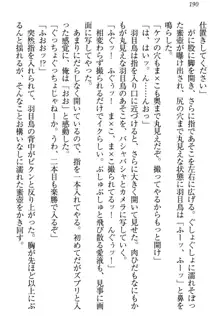 羽目鳥さんは撮られたい!～可愛い教え子は露出好き～, 日本語