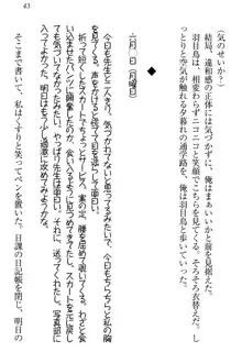 羽目鳥さんは撮られたい!～可愛い教え子は露出好き～, 日本語