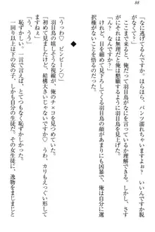 羽目鳥さんは撮られたい!～可愛い教え子は露出好き～, 日本語