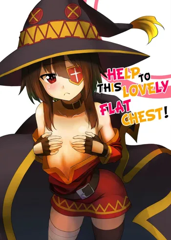 Kono Kawairashii Hinnyu ni Kyuusai o! | Help to this Lovely Flat Chest!, Português