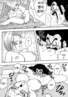 18-gou to Mister Satan!! Seiteki Sentou!, 한국어