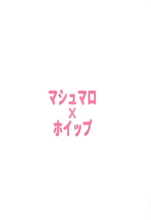 おねえちゃんさっすが!, 日本語