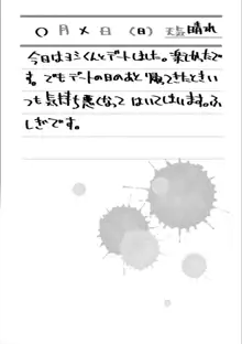 おとなのおもちゃの使い方, 日本語