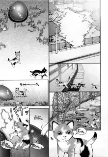 Strange Fruit Ch.1-15, Omake, 日本語