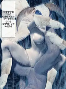 Kaikoga no Kaibutsu | 누에나방 괴물, 한국어