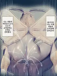 Kaikoga no Kaibutsu | 누에나방 괴물, 한국어