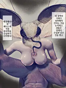 Kaikoga no Kaibutsu | 누에나방 괴물, 한국어